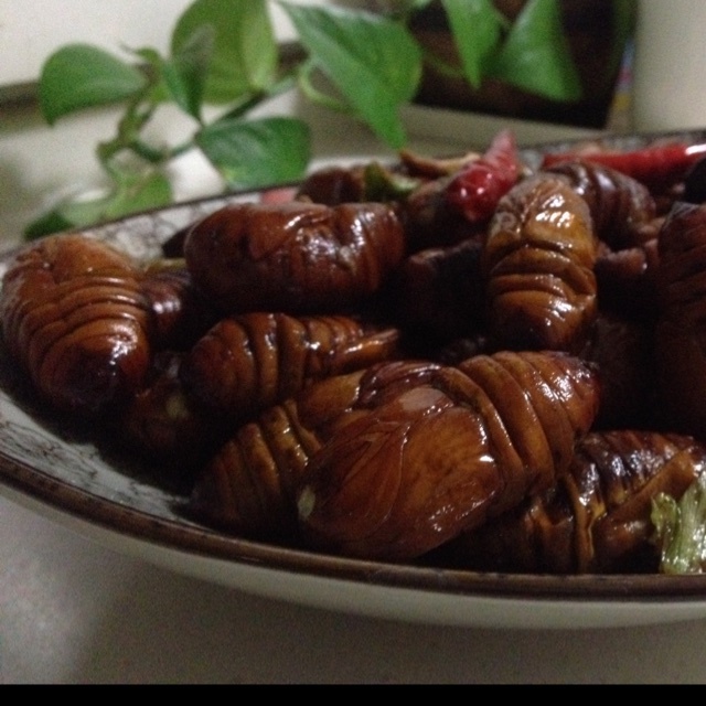 家常炒茧蛹