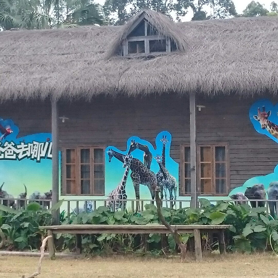 手机用户9988_0rsq