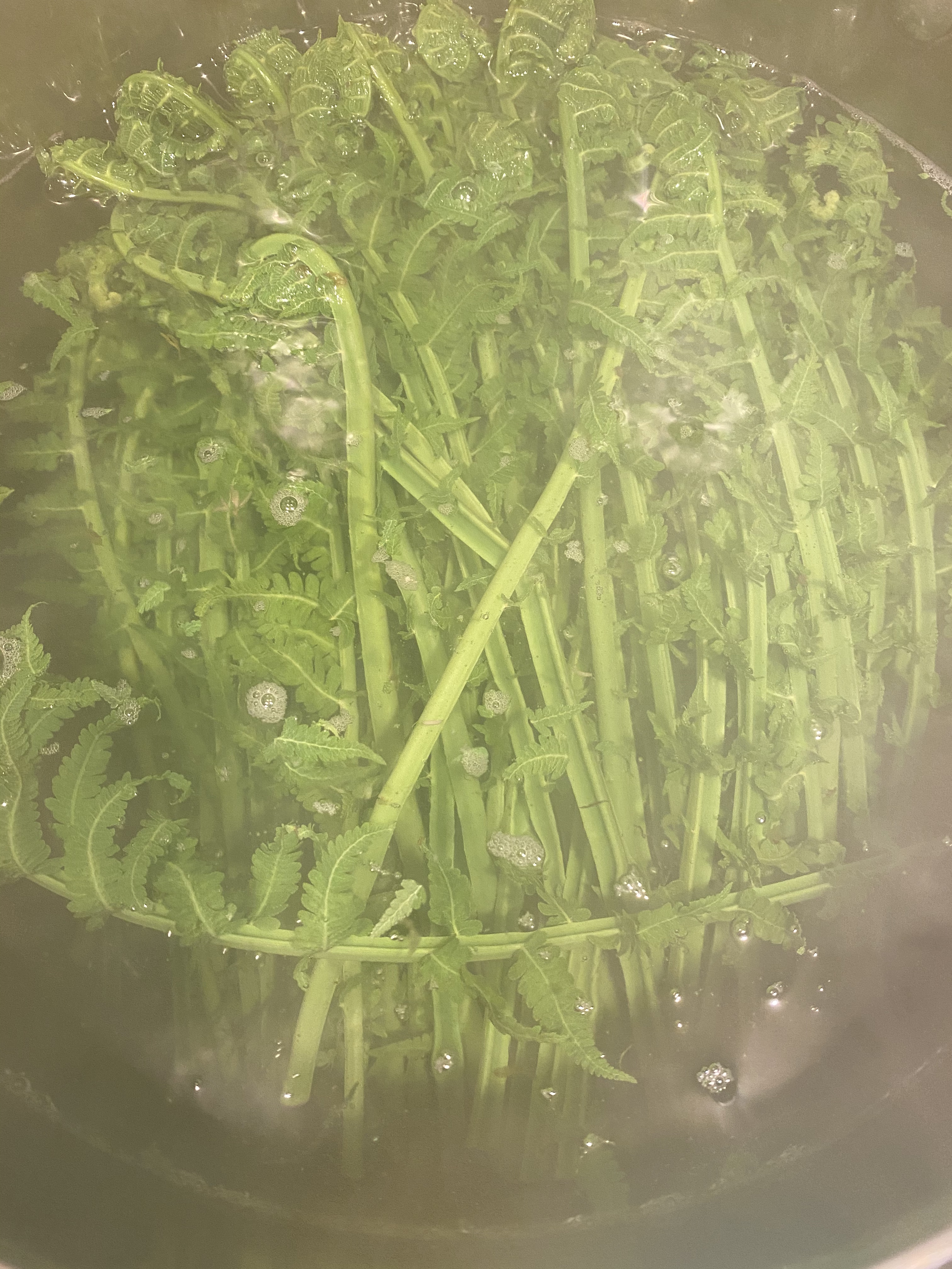 【食在春天】蕨菜三吃-炒，晒，拌的做法 步骤5