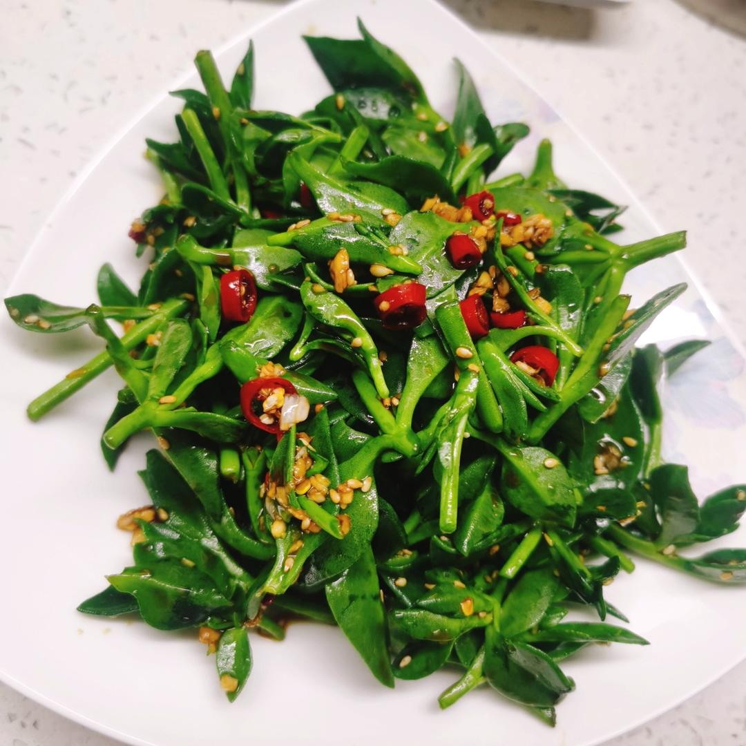 凉拌穿心莲