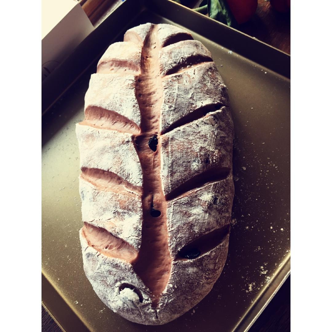 巧克力蔓越莓软欧 Rano Bread