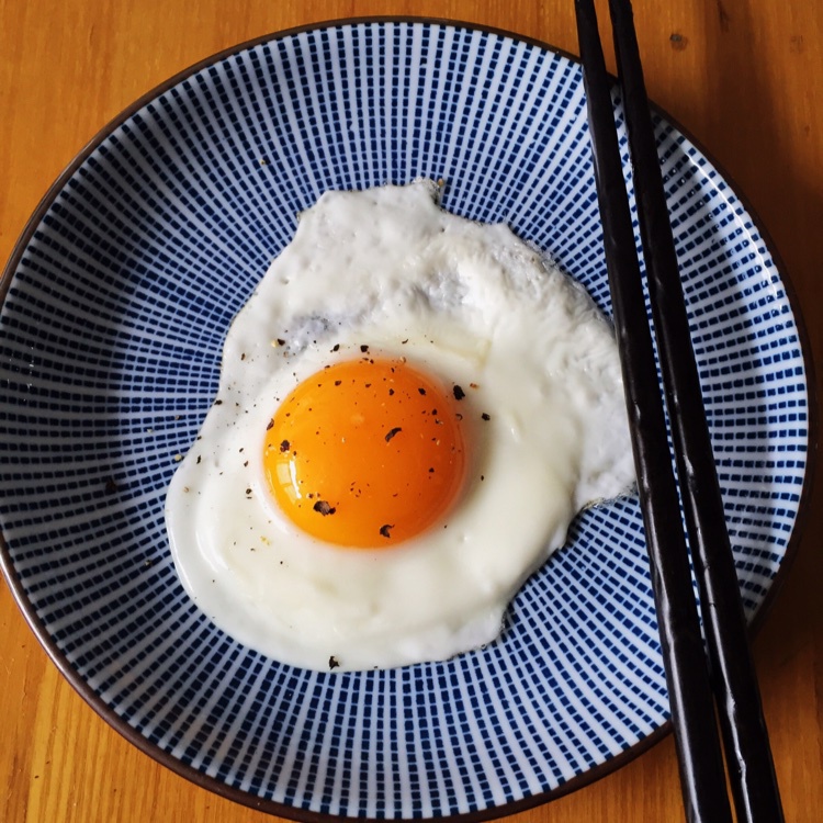 【熊记】太阳蛋