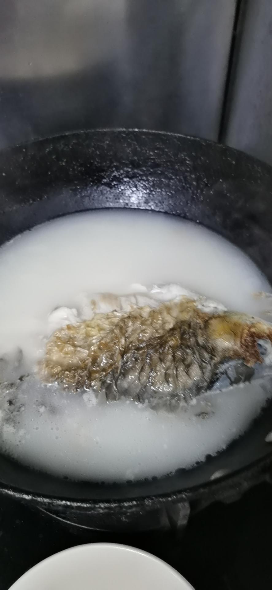 秋冬进补【鱼羊鲜】，一起贴秋膘暖心御寒