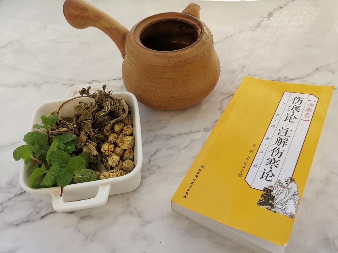 风热感冒初起，桑叶菊花茶搞定的做法