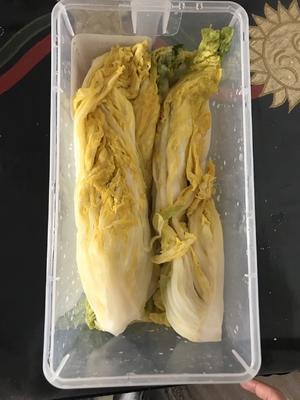 韩式辣白菜/辣萝卜的做法 步骤1