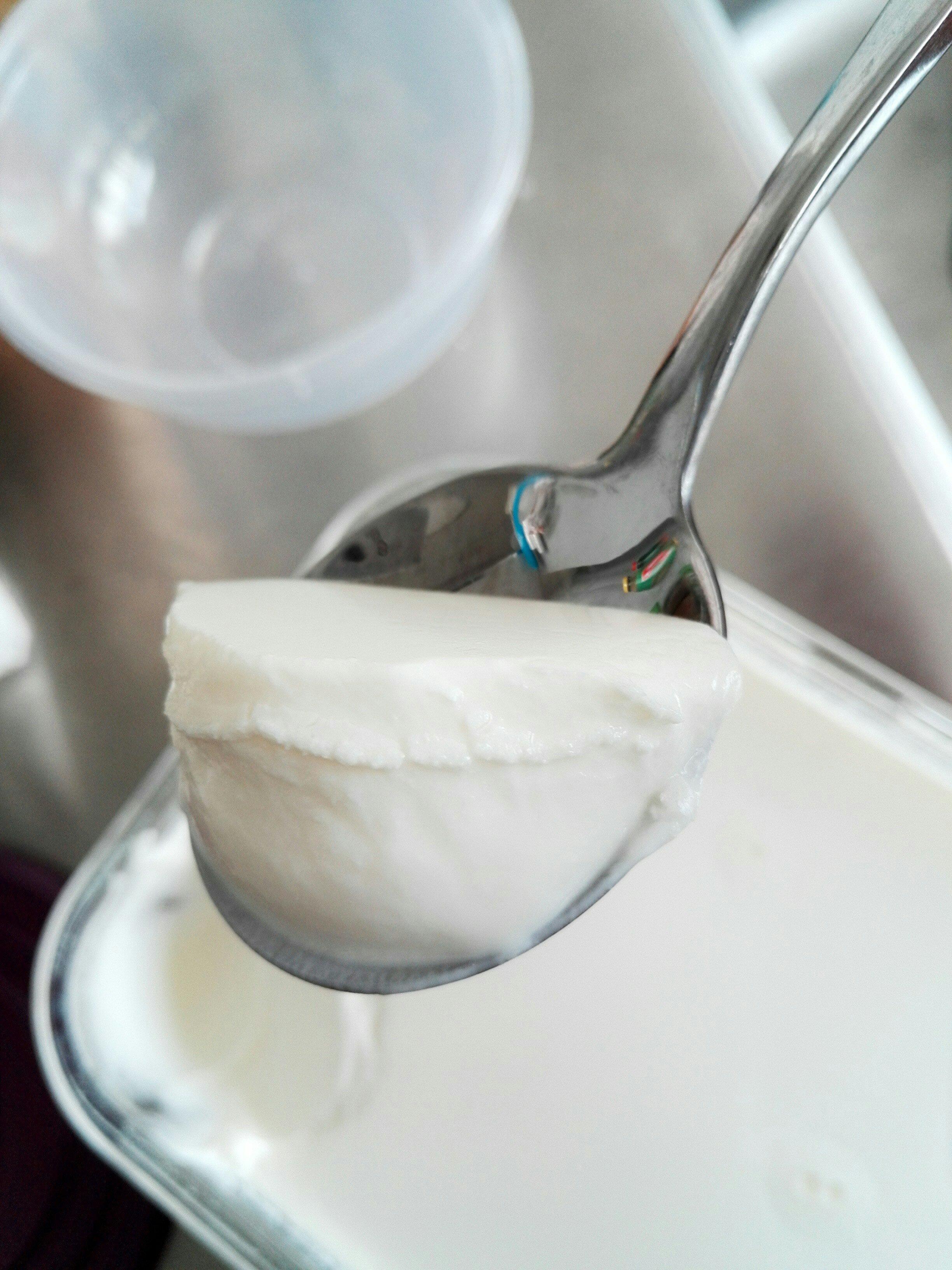 懒人版自制老酸奶（无需酸奶机）的做法