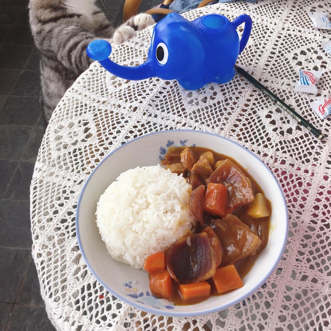 日式咖喱牛肉饭