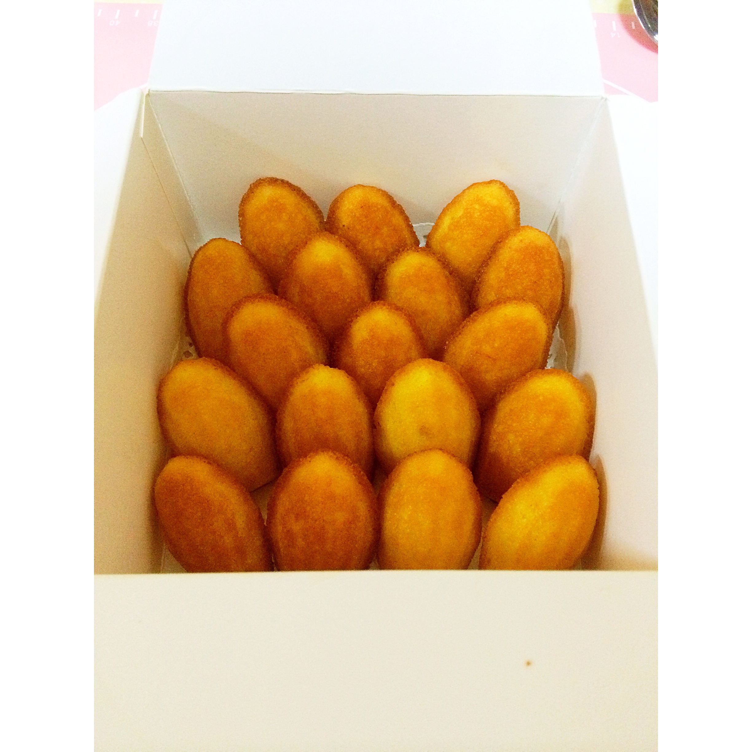 玛德琳（蓝带方）
