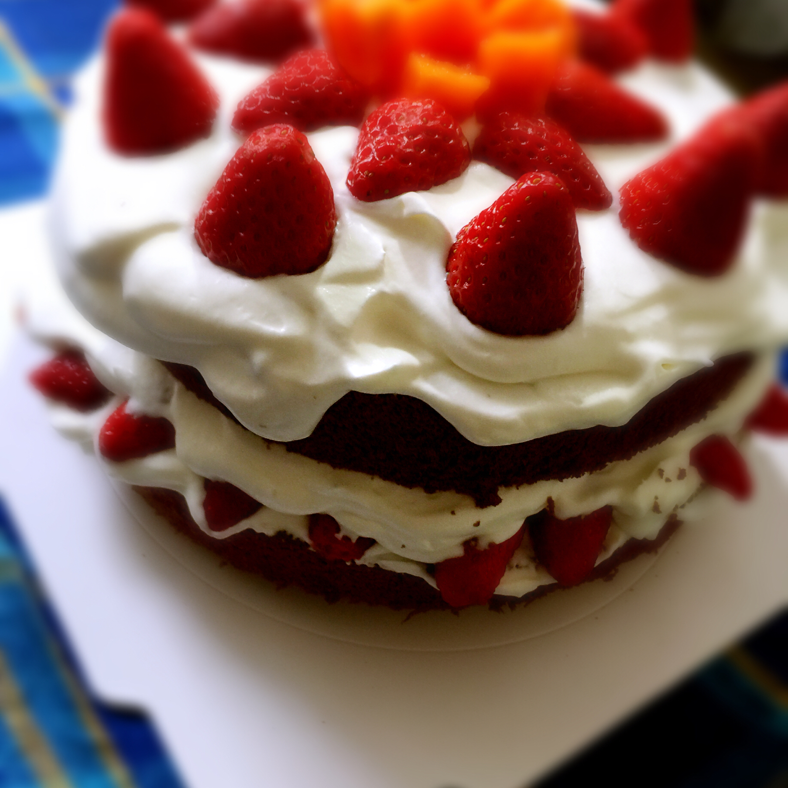 巧克力戚风裸蛋糕