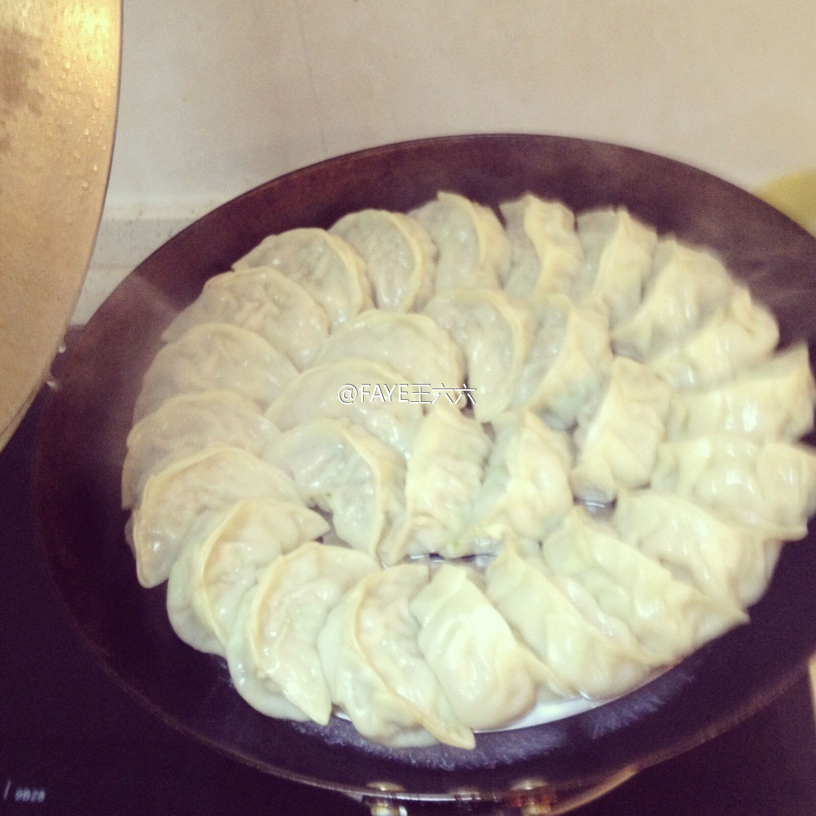 猪肉饺子