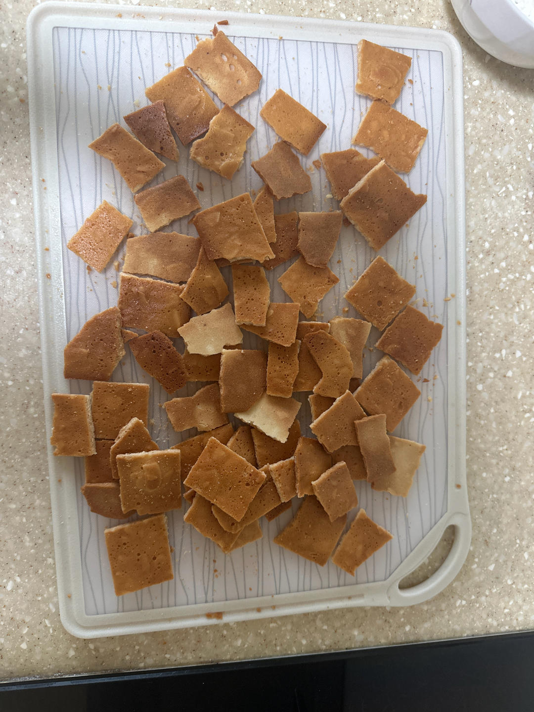 黑芝麻薄脆饼（蛋白消耗）