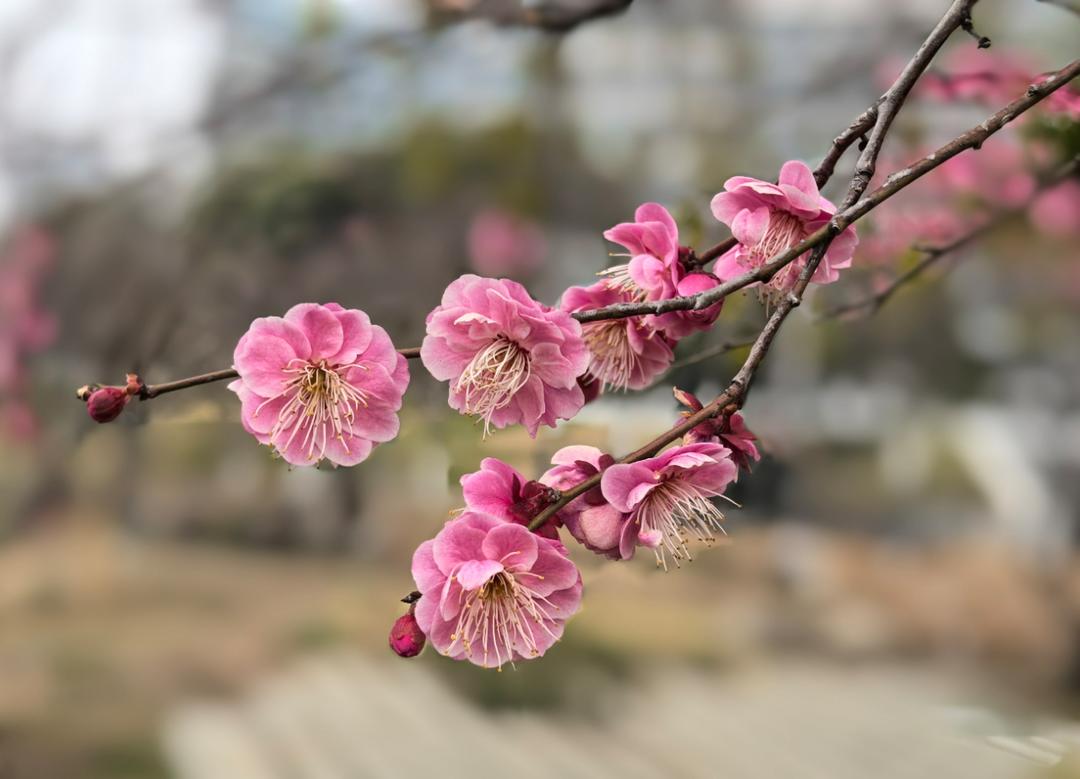 爱做烘焙的小小