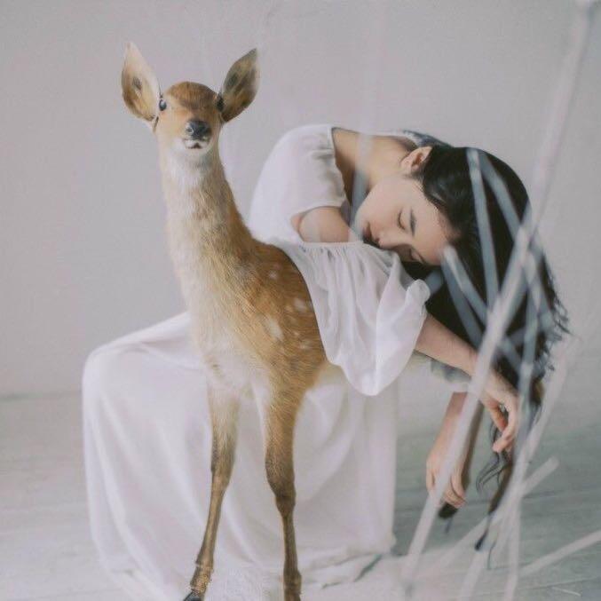 我是熊本熊爆款