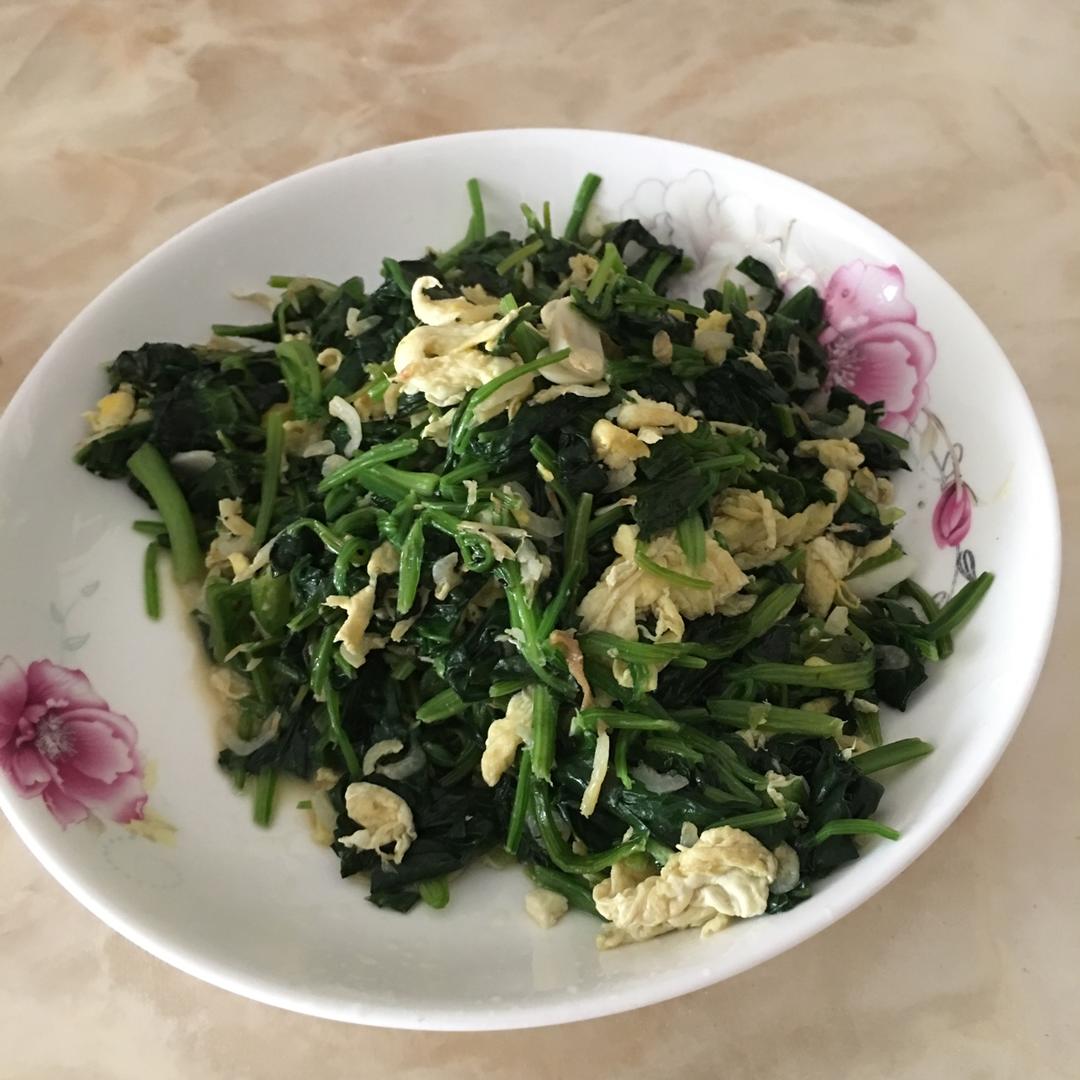 虾皮菠菜炒鸡蛋