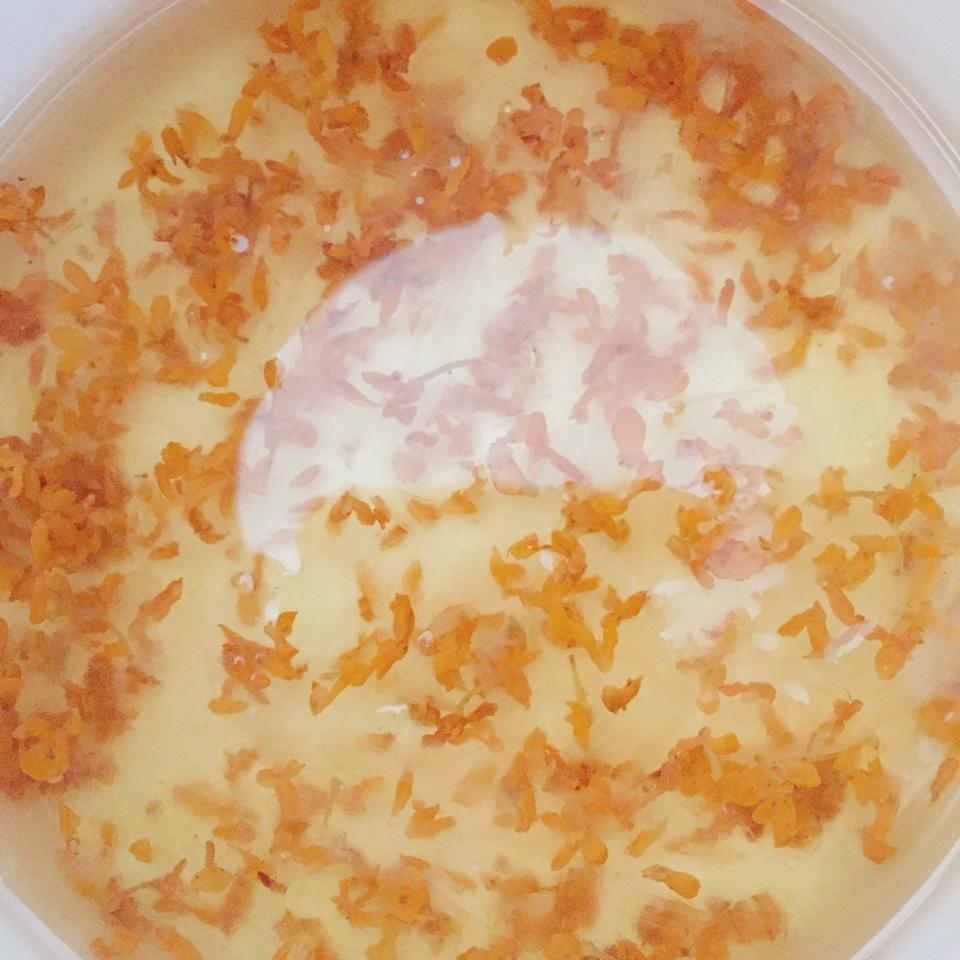 冰糖桂花燕窝