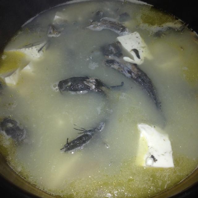 跳跳鱼炖豆腐