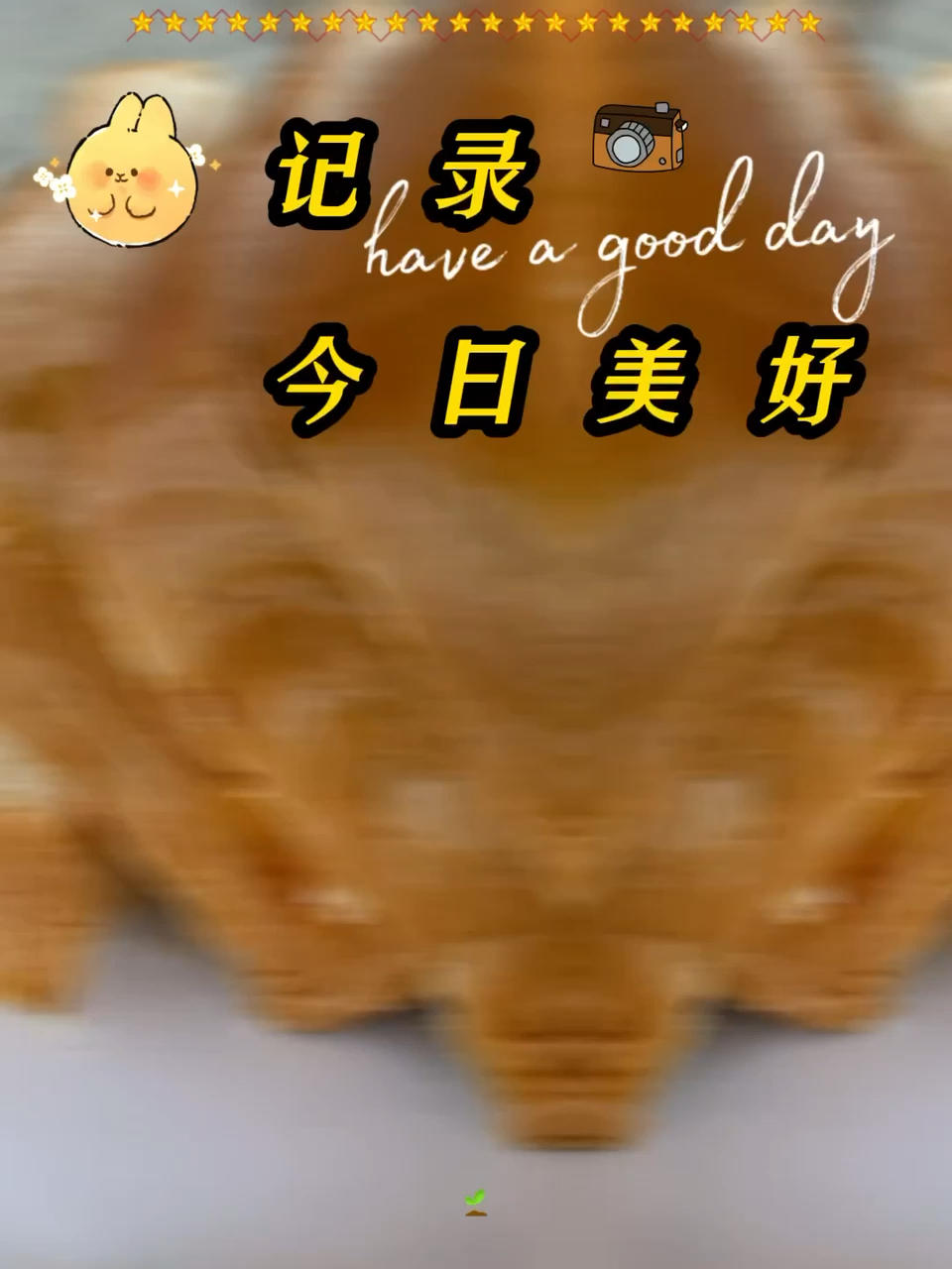 超级好吃的面包干