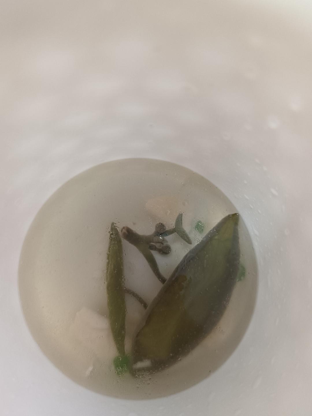 堂妈小厨——鸡丝莼菜汤