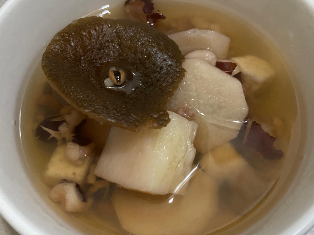 五指毛桃茯苓去湿汤（二）