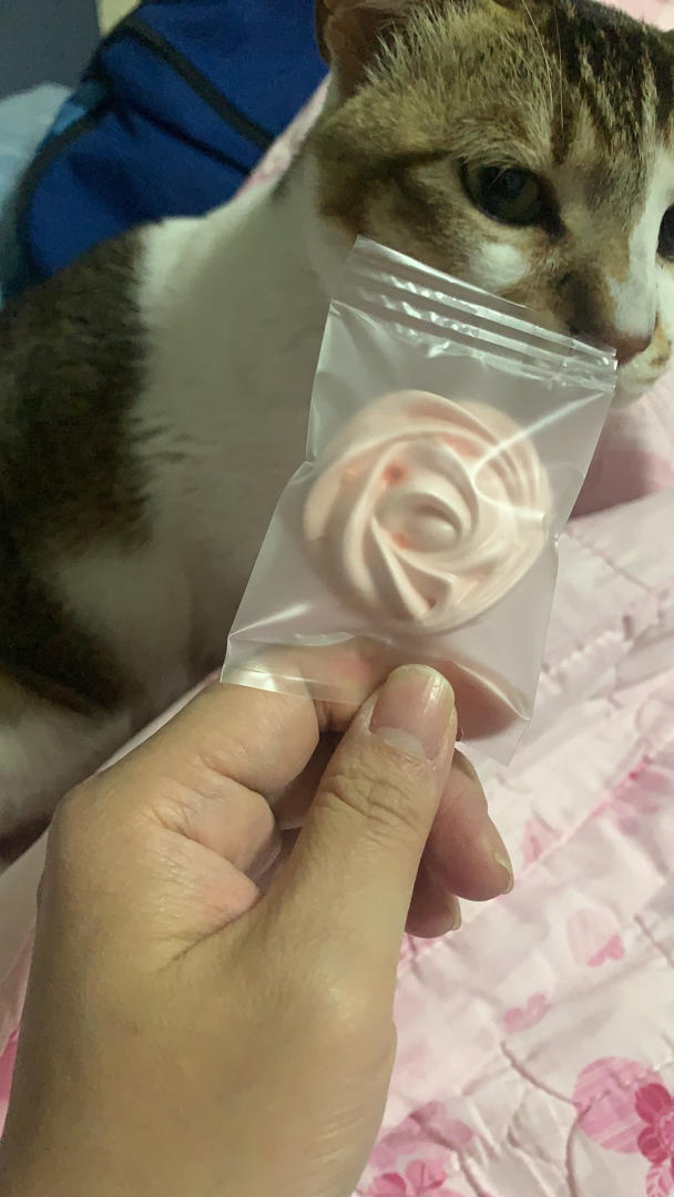 超治愈的蛋白糖