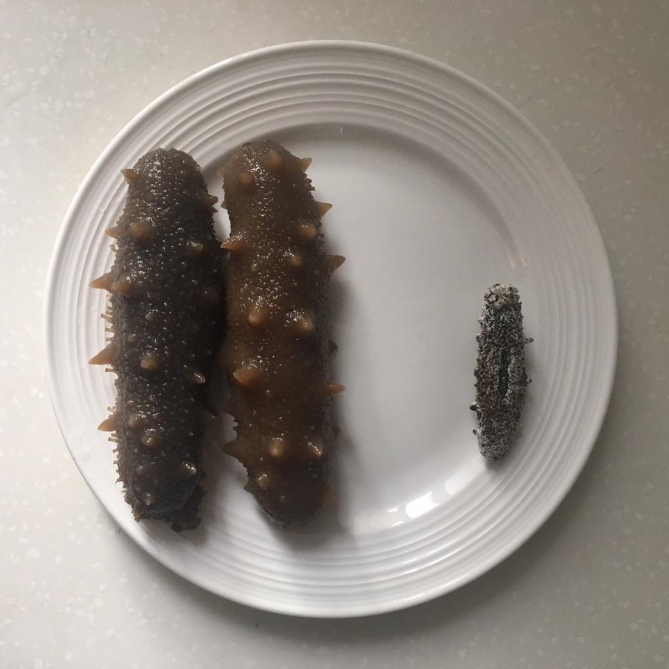 海参泡发攻略