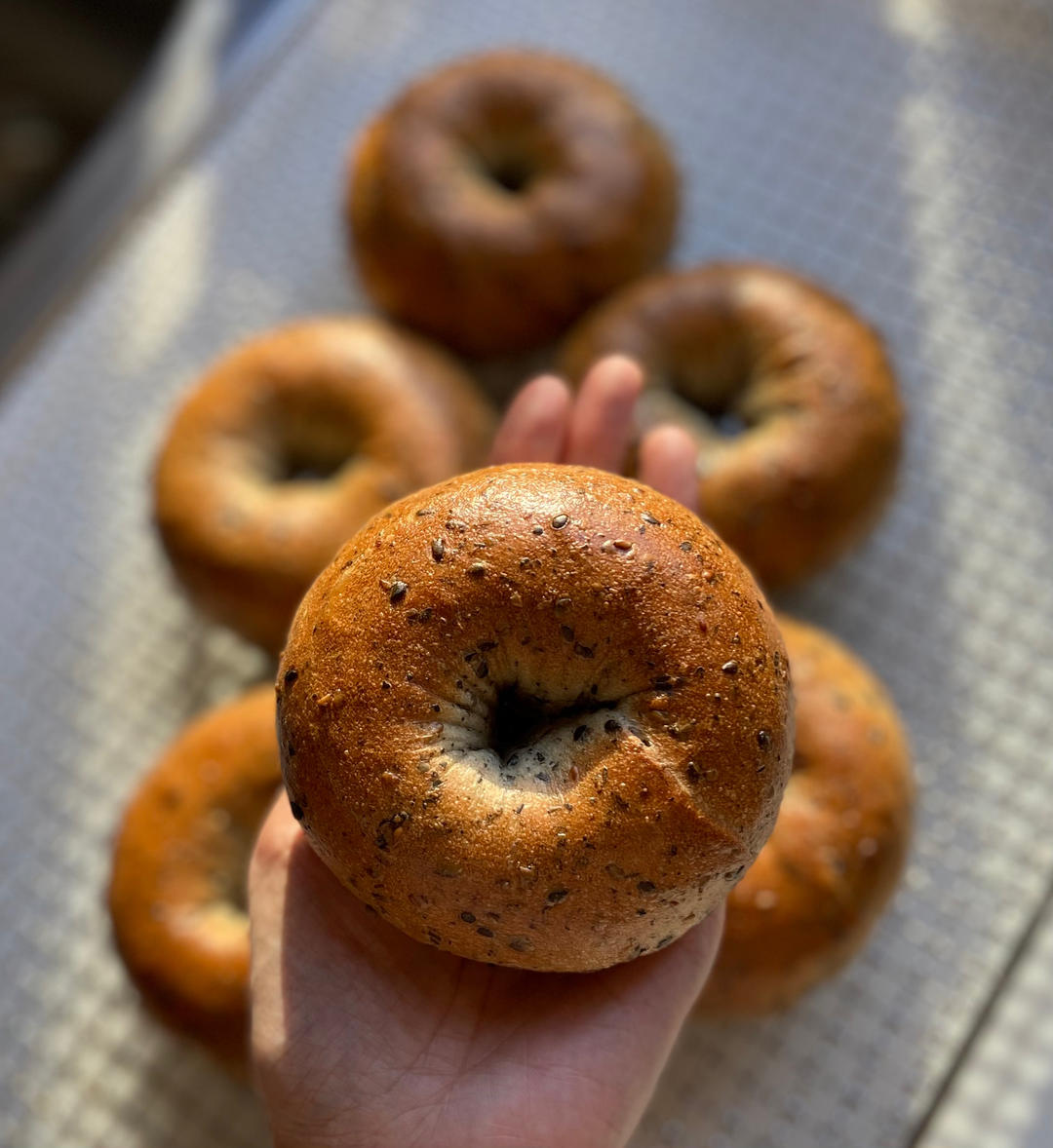 原味贝果🥯/黑芝麻贝果🥯