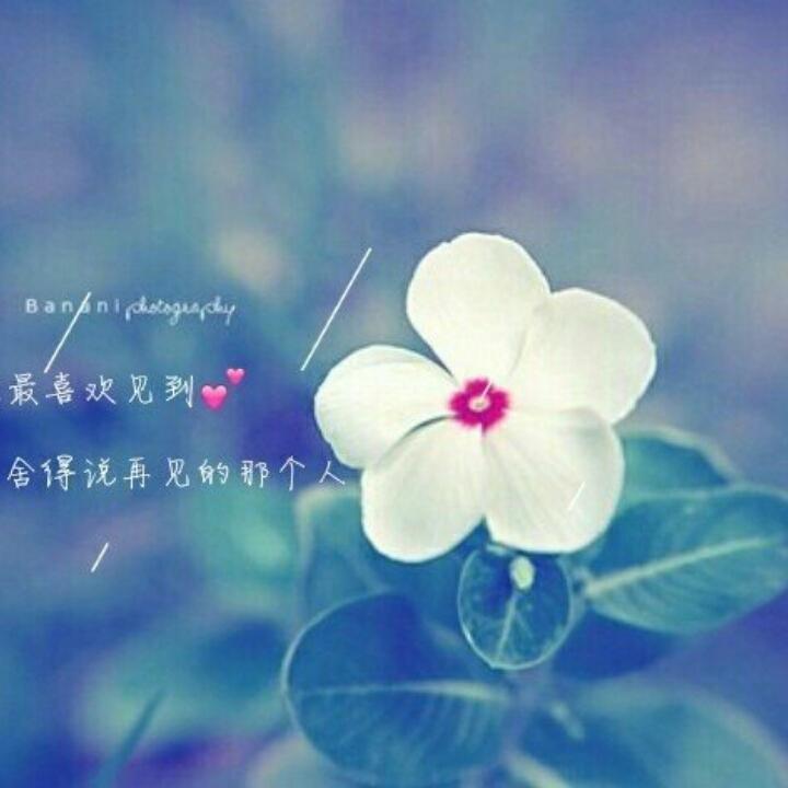 孤独的造梦者丶