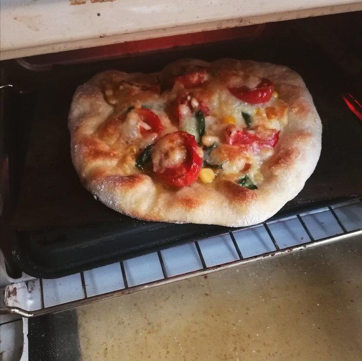 9升烤箱的食物探索