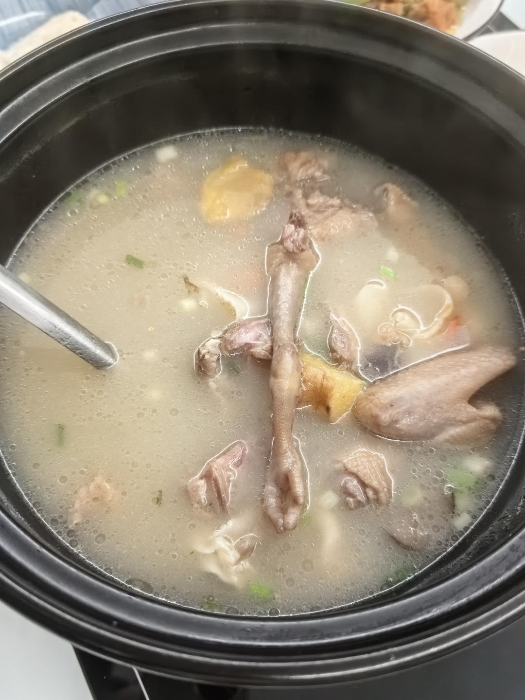 气血双补鸽子汤