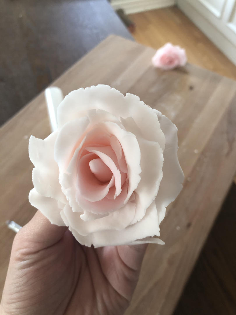 缪缪大人做的翻糖月季花(玫瑰花)