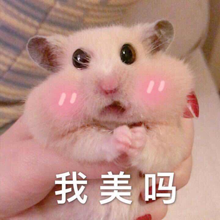 Worqi老王