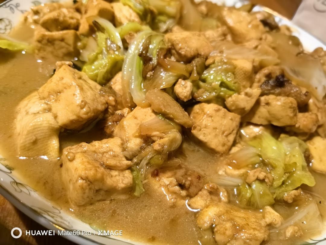 冬季最爱的家常菜！大白菜炖大豆腐或干豆腐