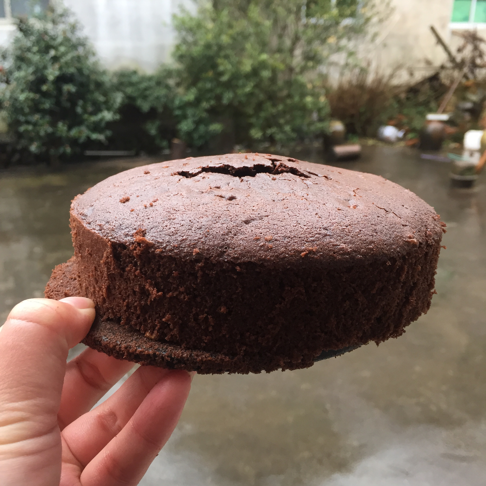 终极德国黑森林蛋糕