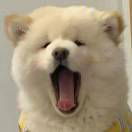 微困状态中