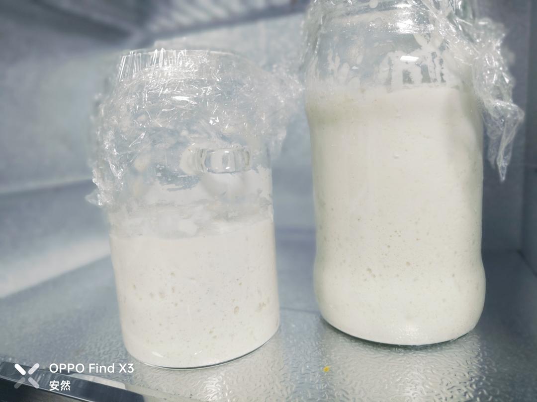 让面包变好吃的秘籍-全麦起种「鲁邦种」