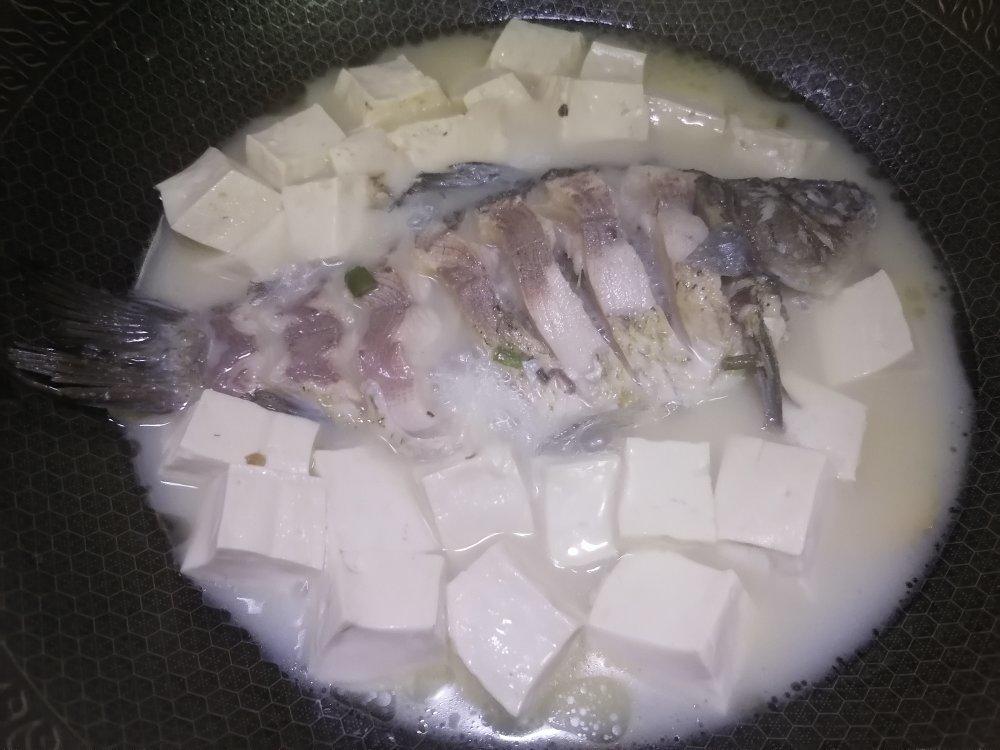 豆腐鲫鱼汤㊙️（汤奶白有技巧）鲜美营养清炖鱼汤