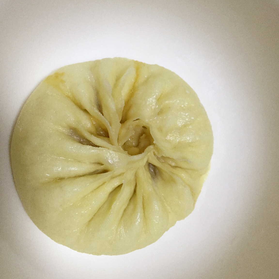 家庭手工肉馅大包子