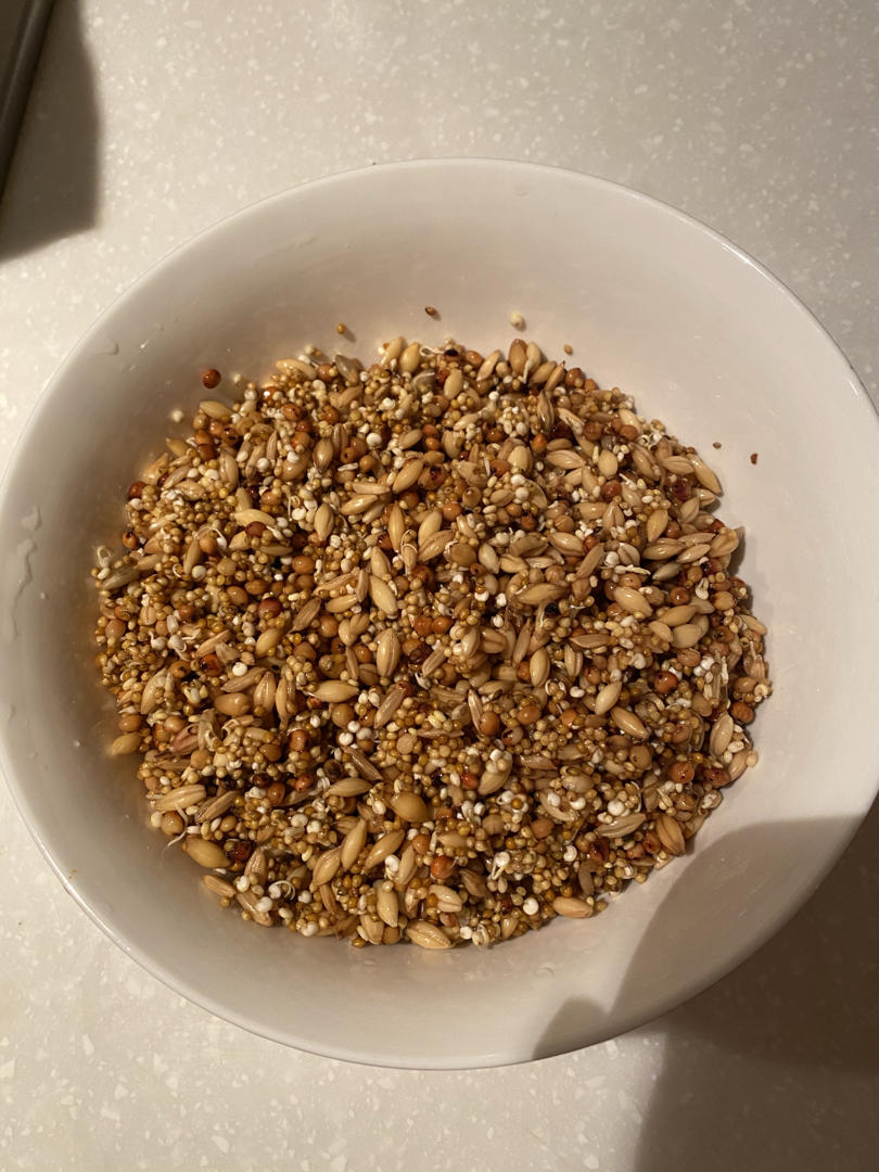 100%发芽谷物吐司丨健康·烘焙