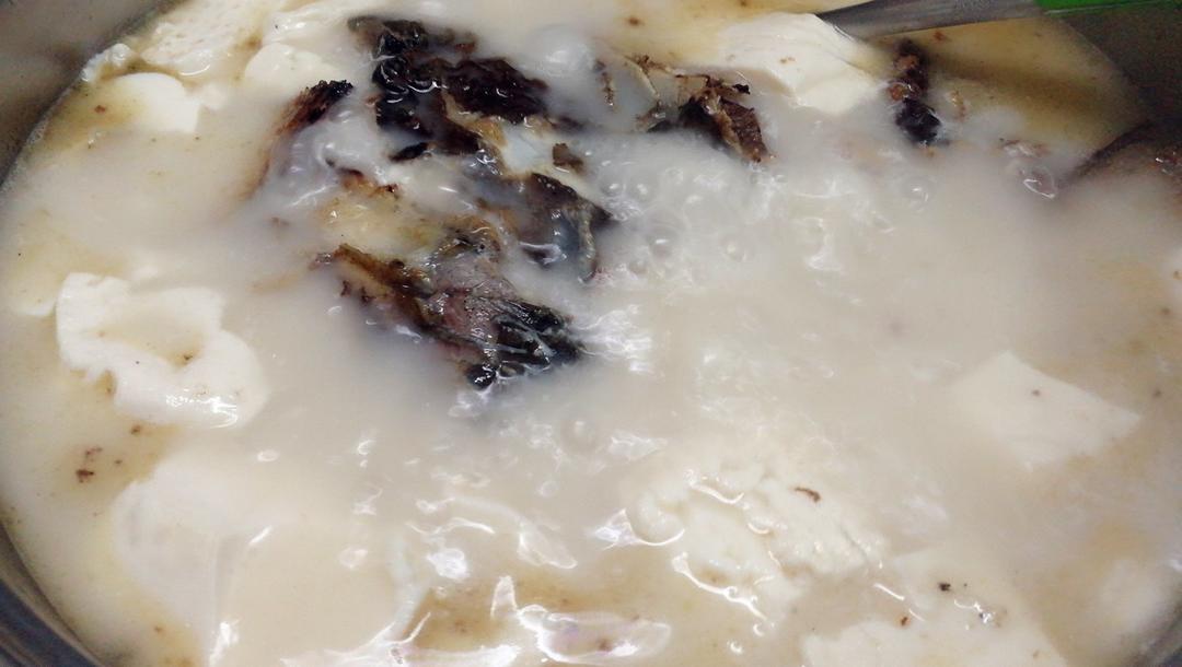 豆腐鱼头汤