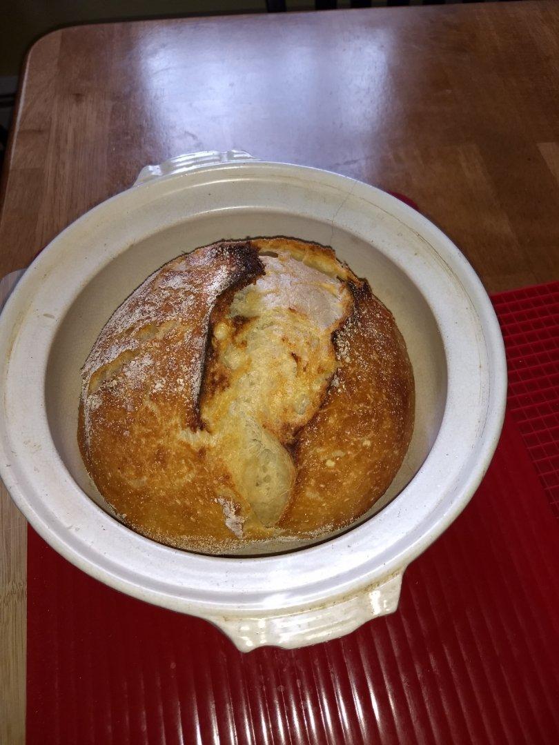 欧包/乡村面包-无油不用揉 No Knead Bread