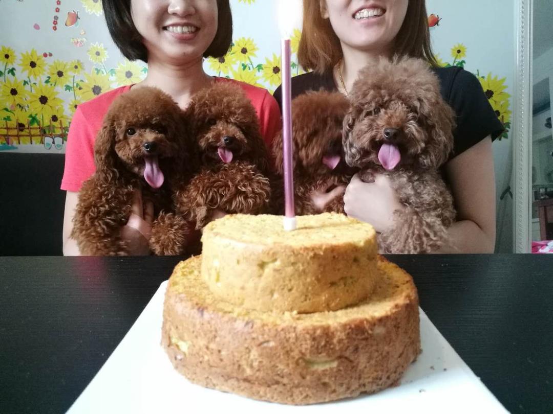 健康的宠物狗狗生日蛋糕(超详细：附步骤图和装饰饼干做法)