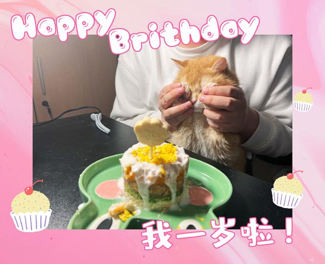 猫咪生日蛋糕