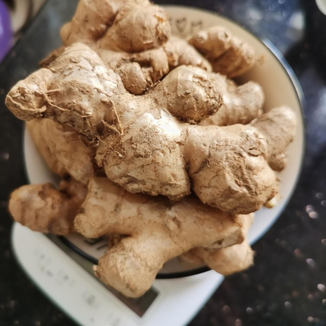 ㊙️祖传秘方/广东人的猪脚醋/坐月子必备/精准配比/零厨艺🔥