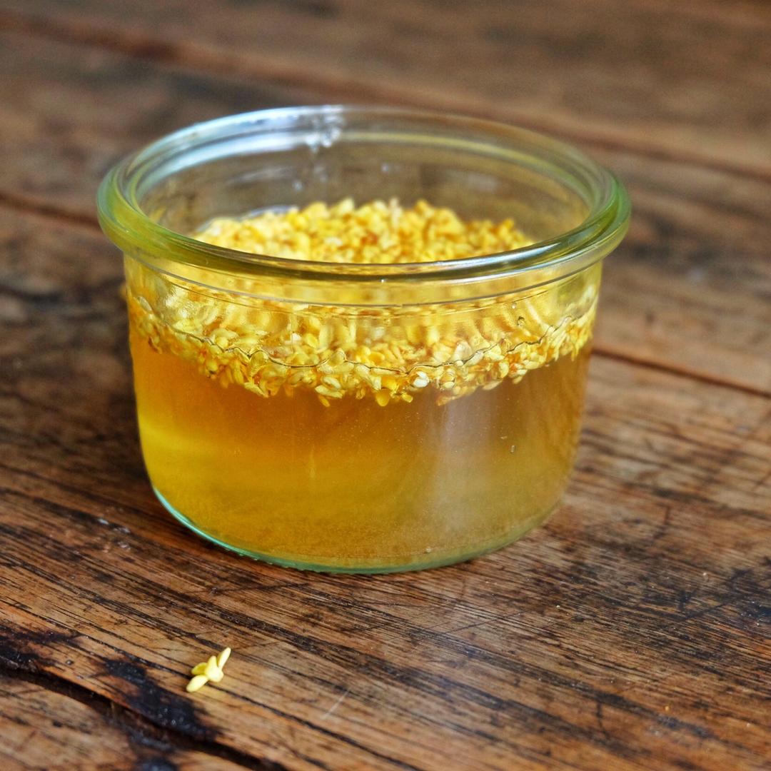 桂花蜜的全部作品