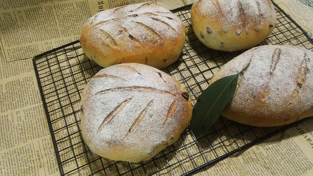 kiri奶油芝士食谱—全麦蔓越莓奶酪软欧包（视频）