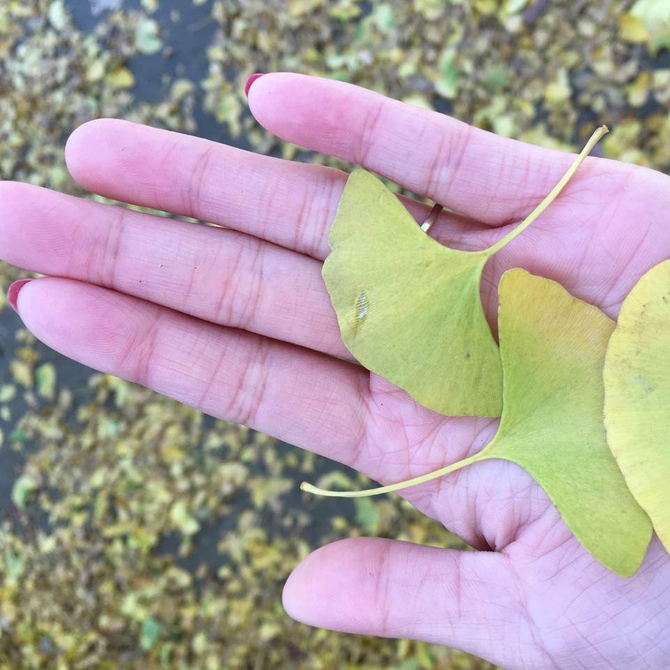新手爱上烘焙