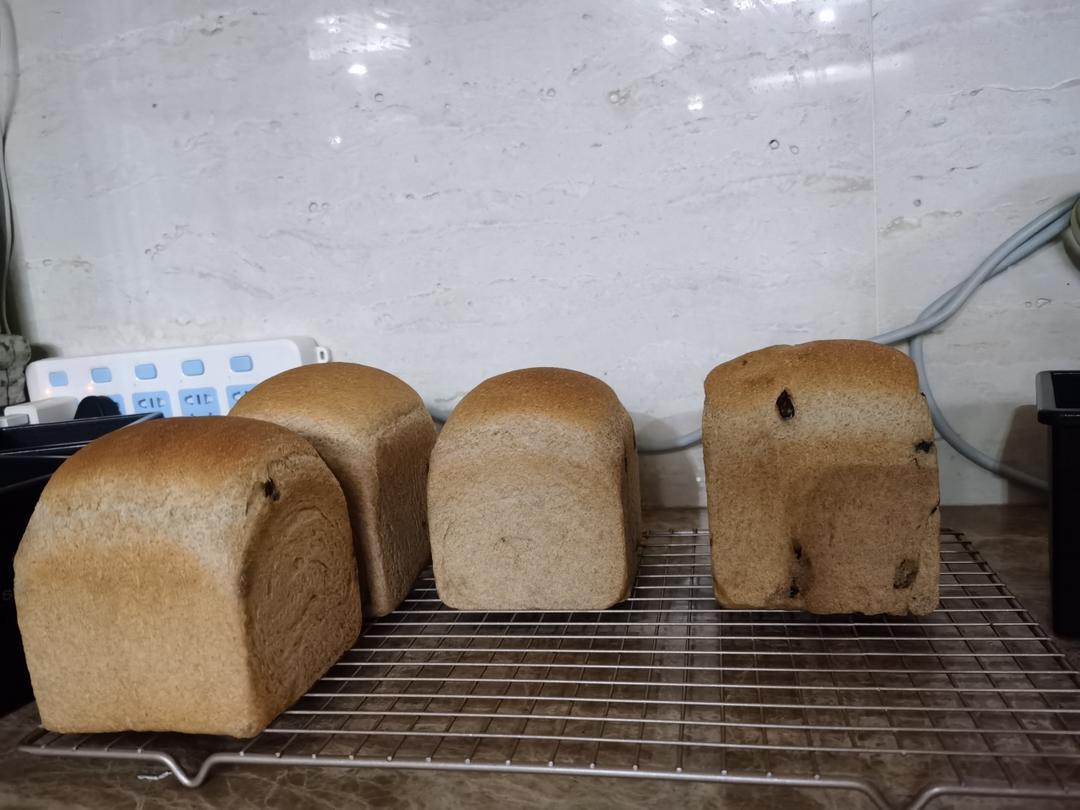 50%全麦吐司｜低糖低脂，吃起来不像是吃全麦的全麦吐司！