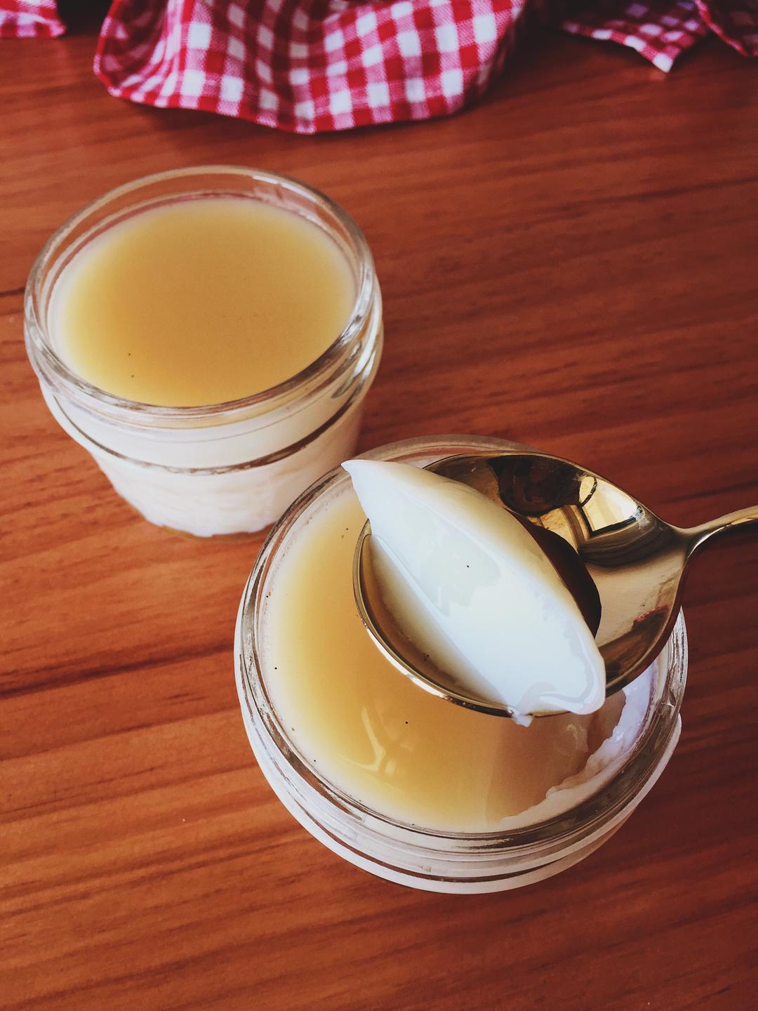 香草牛奶冻 Milk Jelly