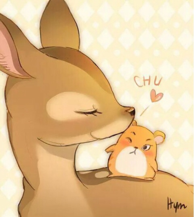 xoxolovexo