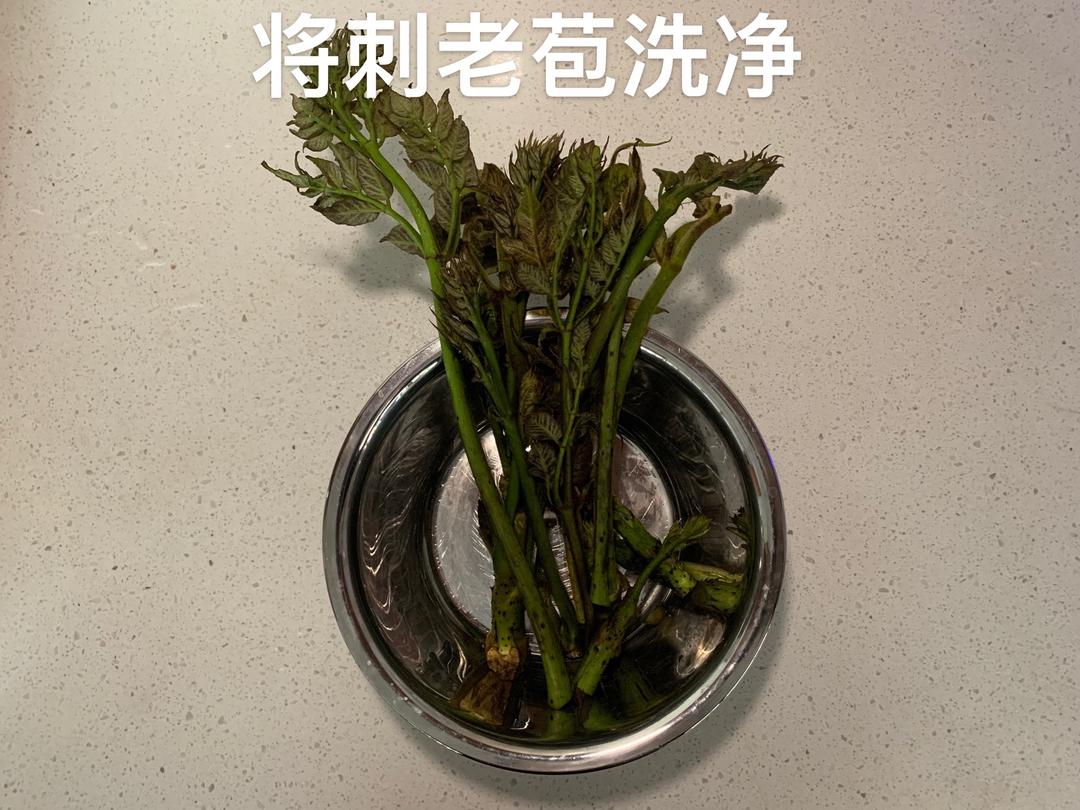 炝炒刺老苞的做法 步骤1